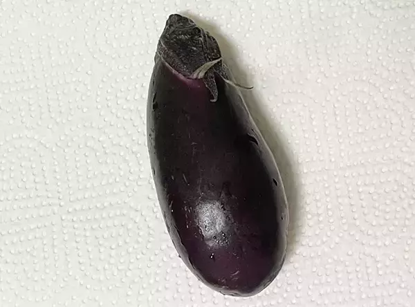 「炊飯器にナスを丸ごとドボン　炊きあがりに「病みつきになる」「おにぎりにもいい」」の画像