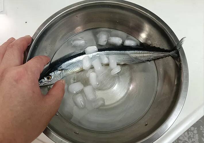 サンマをフライパンで焼く時、油は引いた方がいい？　ニオイを押さえる「焼き方のコツ」