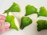 「食べた夫が「また作って！」　シソと餃子の皮で包んだのは…【簡単つまみレシピ】」の画像1