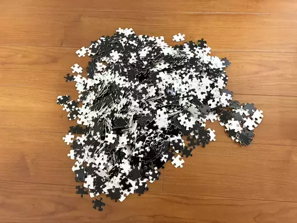 男性「もうダメだ、やめたい」　ダイソーで買ったパズルで遊んだ結果…メンタルに異変が現れたワケ