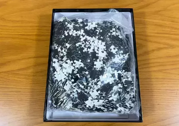 「男性「もうダメだ、やめたい」　ダイソーで買ったパズルで遊んだ結果…メンタルに異変が現れたワケ」の画像