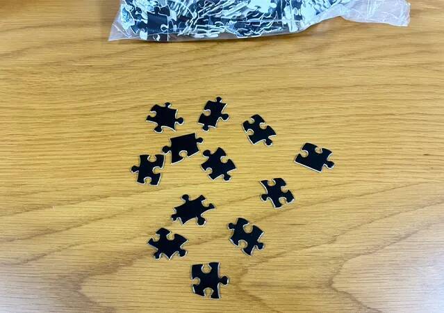 男性「もうダメだ、やめたい」　ダイソーで買ったパズルで遊んだ結果…メンタルに異変が現れたワケ