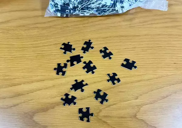 「男性「もうダメだ、やめたい」　ダイソーで買ったパズルで遊んだ結果…メンタルに異変が現れたワケ」の画像