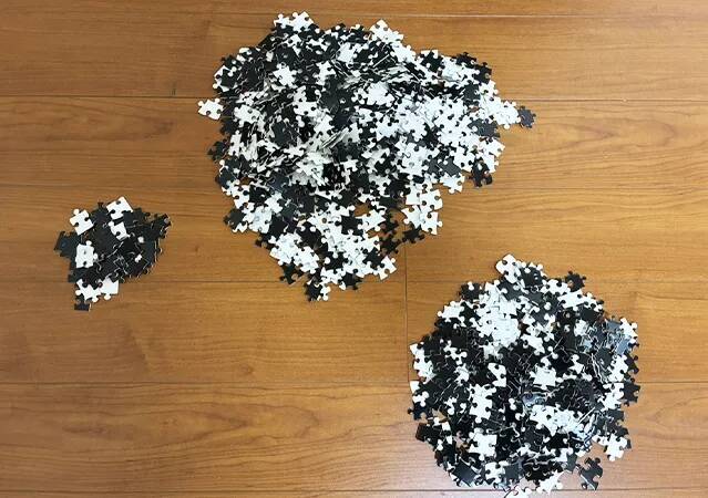 男性「もうダメだ、やめたい」　ダイソーで買ったパズルで遊んだ結果…メンタルに異変が現れたワケ