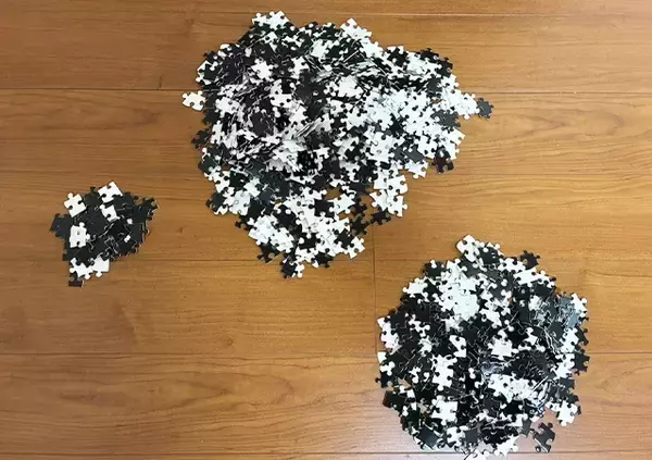 「男性「もうダメだ、やめたい」　ダイソーで買ったパズルで遊んだ結果…メンタルに異変が現れたワケ」の画像