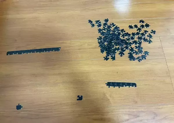 「男性「もうダメだ、やめたい」　ダイソーで買ったパズルで遊んだ結果…メンタルに異変が現れたワケ」の画像