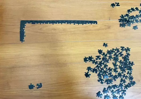 「男性「もうダメだ、やめたい」　ダイソーで買ったパズルで遊んだ結果…メンタルに異変が現れたワケ」の画像