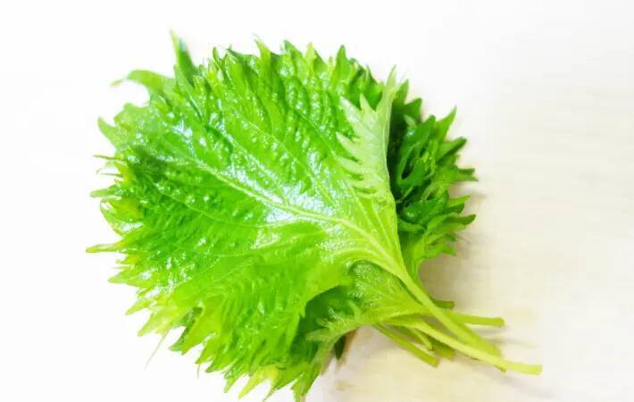 製氷皿に『大葉』を入れて…　完成したものに「え、何これ！」「便利すぎ」