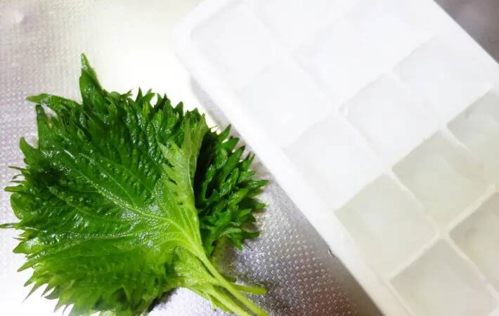 製氷皿に『大葉』を入れて…　完成したものに「え、何これ！」「便利すぎ」