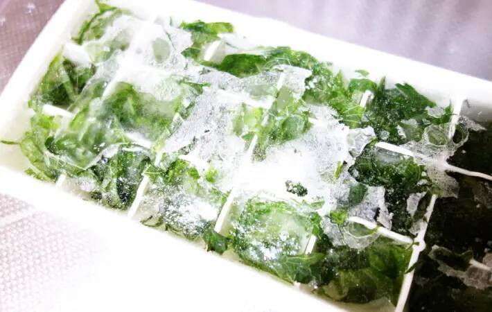 製氷皿に『大葉』を入れて…　完成したものに「え、何これ！」「便利すぎ」