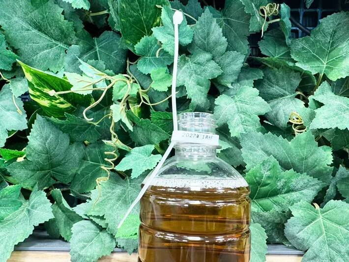 【紐1本でOK】500mlペットボトルがショルダーに！？　手品のようだけど実は簡単で…