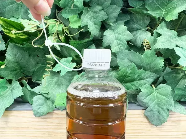 「【紐1本でOK】500mlペットボトルがショルダーに！？　手品のようだけど実は簡単で…」の画像