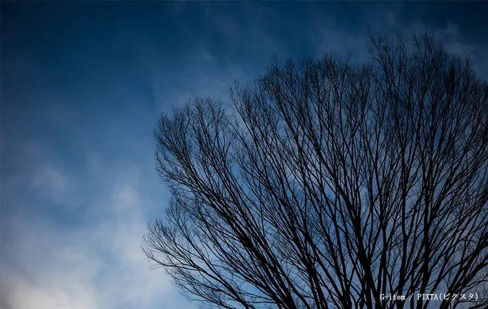 寒い日の外出が楽しくなる！　知って得する“冬”にまつわる2大表現の秘密