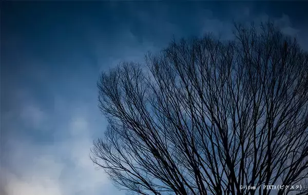 「寒い日の外出が楽しくなる！　知って得する“冬”にまつわる2大表現の秘密」の画像