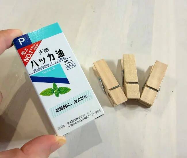 ハッカ油は『クリップ』と組み合わせ！　市販グッズを買わずにできる虫除け対策
