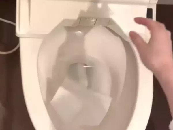 排水管が詰まる意外な原因とは　トイレ掃除の落とし穴に「気を付けます」「注意する」