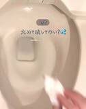 「排水管が詰まる意外な原因とは　トイレ掃除の落とし穴に「気を付けます」「注意する」」の画像2
