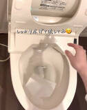 「排水管が詰まる意外な原因とは　トイレ掃除の落とし穴に「気を付けます」「注意する」」の画像3
