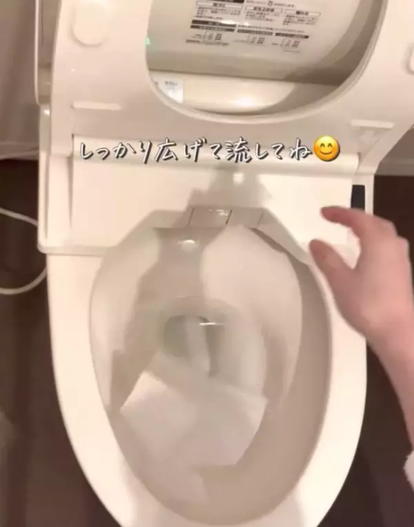 「排水管が詰まる意外な原因とは　トイレ掃除の落とし穴に「気を付けます」「注意する」」の画像