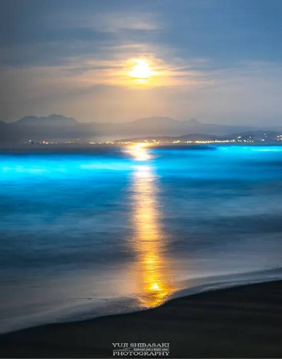 深夜1時過ぎの江の島　海面に現れたのは？　奇跡の1枚に「波がLEDみたい」「不思議な絶景」