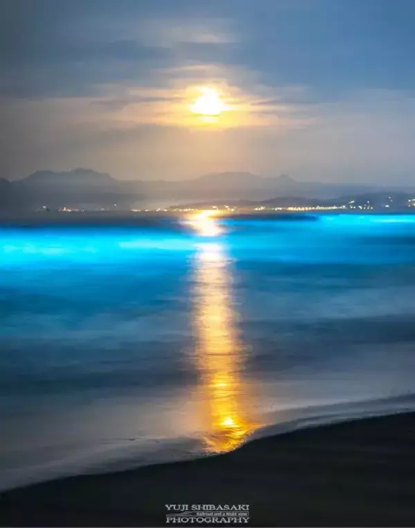 「深夜1時過ぎの江の島　海面に現れたのは？　奇跡の1枚に「波がLEDみたい」「不思議な絶景」」の画像