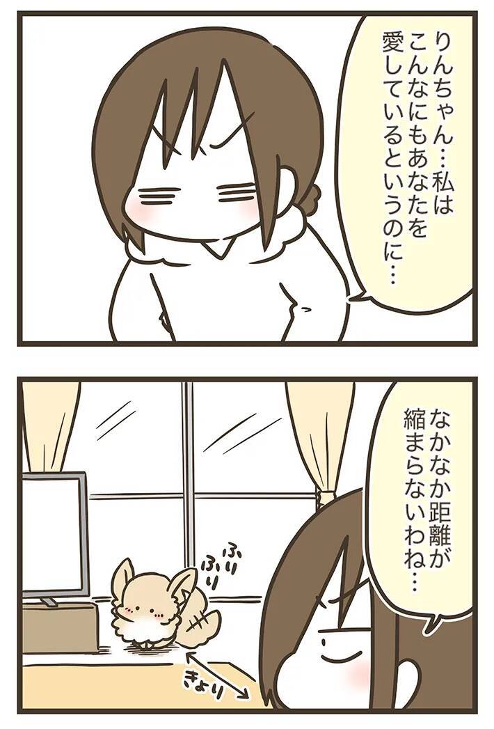 「こんなにも愛しているのに…」チワワに懐かれない三女、母親が明かした理由に納得？【連載】