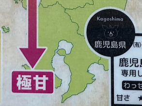 「素晴らしい案内」「これが駅にあるとは」　博多駅で見つけた『ある情報』が？