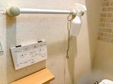 「トイレブラシはもう洗いません！　そのまま流せるダイソーのアイテムが超優秀」の画像1