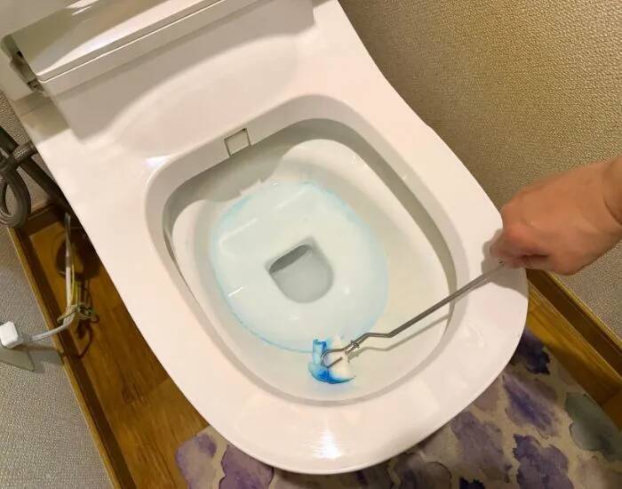 トイレブラシはもう洗いません！　そのまま流せるダイソーのアイテムが超優秀