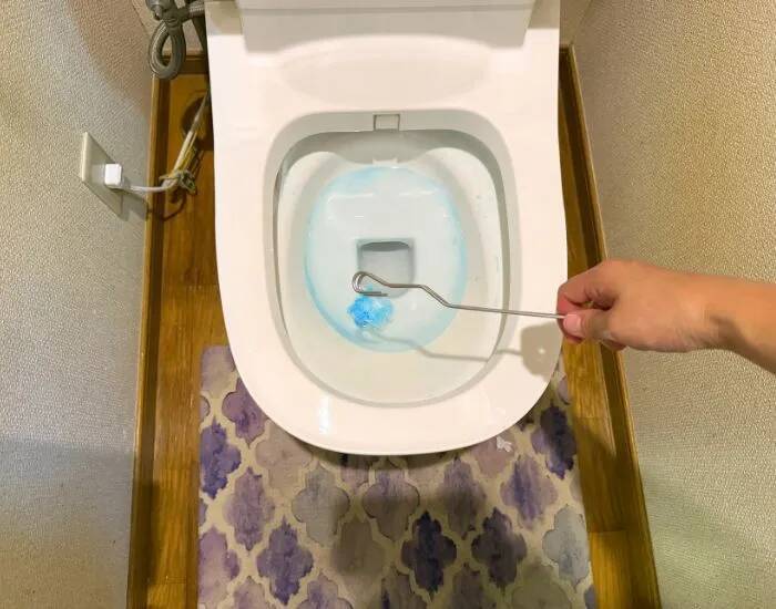 トイレブラシはもう洗いません！　そのまま流せるダイソーのアイテムが超優秀