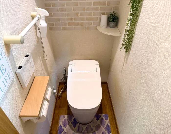 トイレブラシはもう洗いません！　そのまま流せるダイソーのアイテムが超優秀