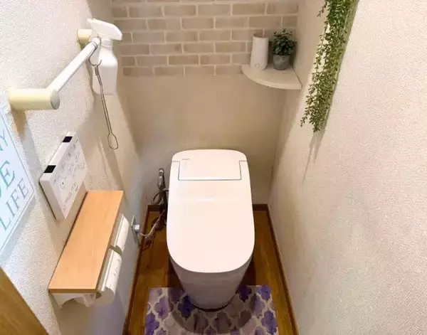 「トイレブラシはもう洗いません！　そのまま流せるダイソーのアイテムが超優秀」の画像