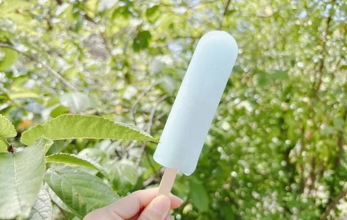 水筒に『保冷剤』とアイスを入れて放置　5時間後の結果に「これはすごい」