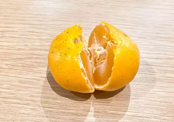 「指も汚さず10秒で完了！？　和歌山みかん農家流の皮むき術が？」の画像