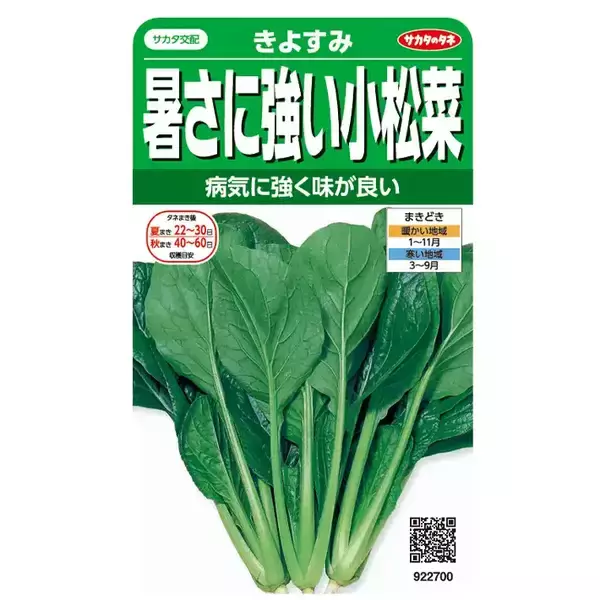 「「小松菜やレタスは初心者向け」　家庭菜園を始めるなら９月～１０月がチャンス」の画像
