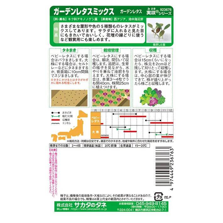 「小松菜やレタスは初心者向け」　家庭菜園を始めるなら９月～１０月がチャンス
