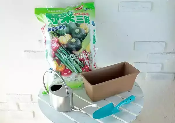 「「小松菜やレタスは初心者向け」　家庭菜園を始めるなら９月～１０月がチャンス」の画像