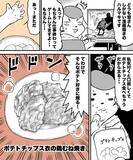 「味付け不要！ポテトチップスを衣にする『揚げない鶏むね焼き』が手軽でザクザク」の画像3