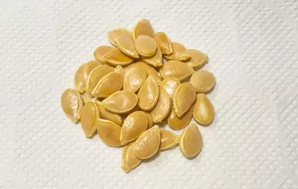 「「カボチャのタネ、捨てないで！」　子供が懇願するその理由は⋯？【節約レシピ】」の画像