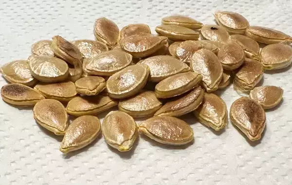 「「カボチャのタネ、捨てないで！」　子供が懇願するその理由は⋯？【節約レシピ】」の画像