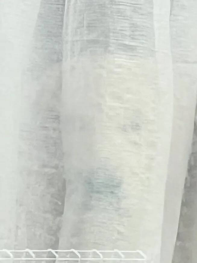 3匹しかいないと思ったら…？　隠れていた『4匹目』の姿に「霊かと思った」【ゴールデンレトリバー】