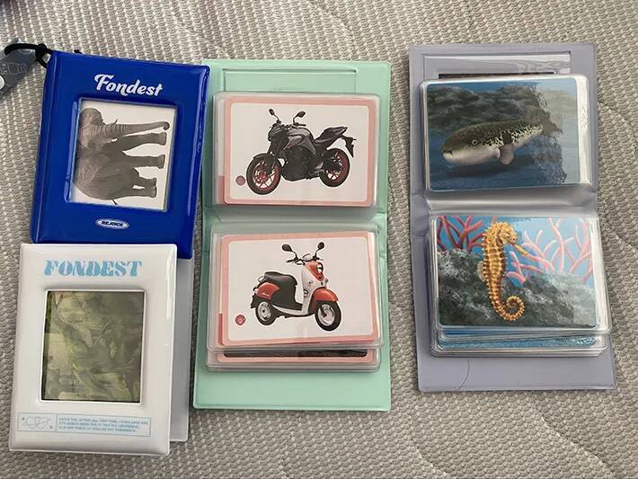 母親「ミニ図鑑作った」　100均で作れる愛情たっぷりのアイディアに「絶対喜ぶ」「作りたい」