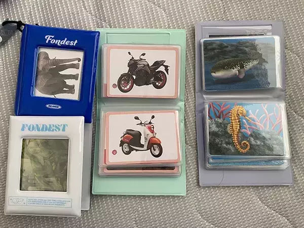 「母親「ミニ図鑑作った」　100均で作れる愛情たっぷりのアイディアに「絶対喜ぶ」「作りたい」」の画像