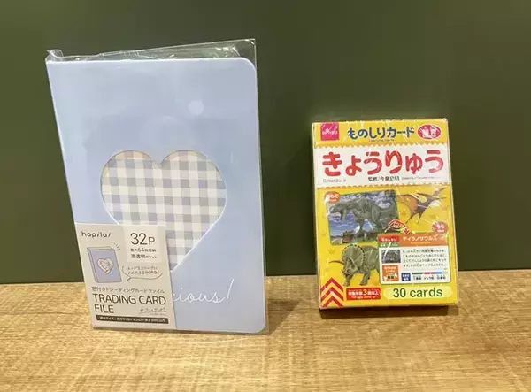 「母親「ミニ図鑑作った」　100均で作れる愛情たっぷりのアイディアに「絶対喜ぶ」「作りたい」」の画像