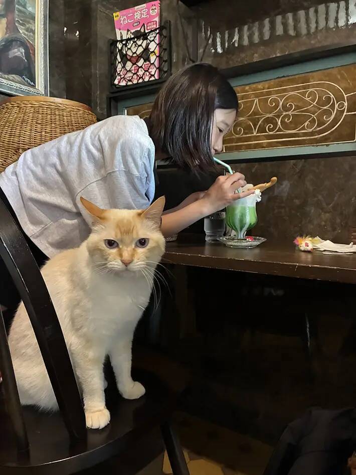 なぜか客が立ったまま飲んでいる喫茶店　8万人を笑わせた光景に「下僕のつとめ」の声