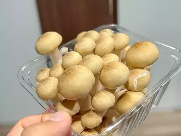 シメジの石づき、こう切って！　無駄なく使えてパラパラほぐれる「カットの裏技」