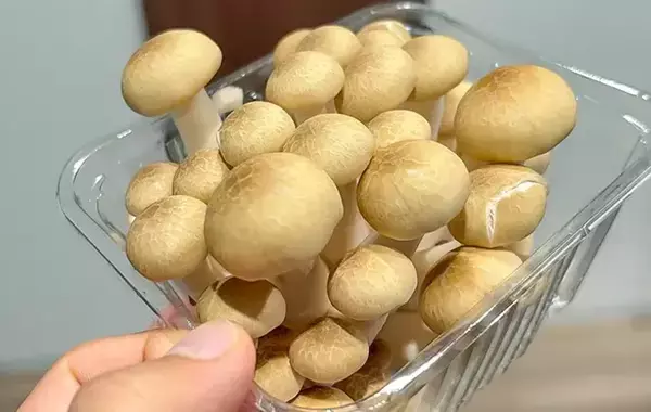 「シメジの石づき、こう切って！　無駄なく使えてパラパラほぐれる「カットの裏技」」の画像