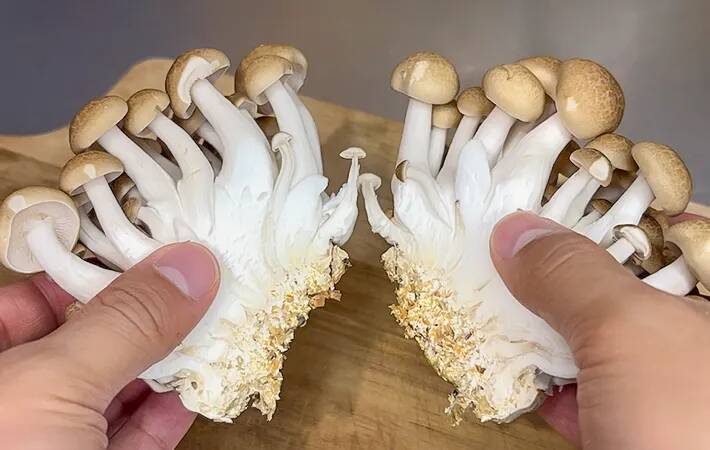 シメジの石づき、こう切って！　無駄なく使えてパラパラほぐれる「カットの裏技」