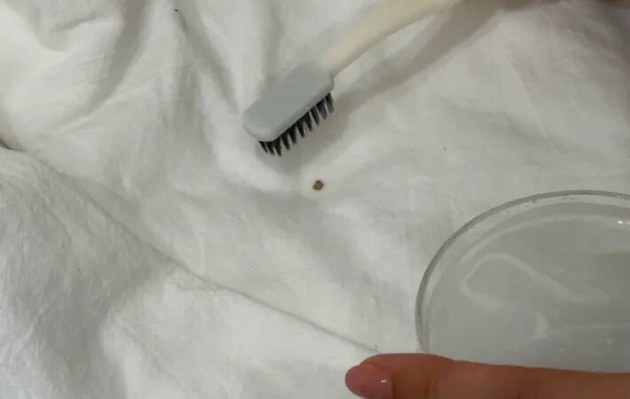 夏場のシーツ、週に何回洗うのがいい？　洗濯研究家の答えは…