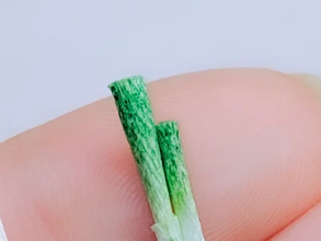 「なんて器用なの！」指先にのるサイズの『鍋の具材』　細かすぎる『手仕事』に驚き